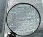 public record background check